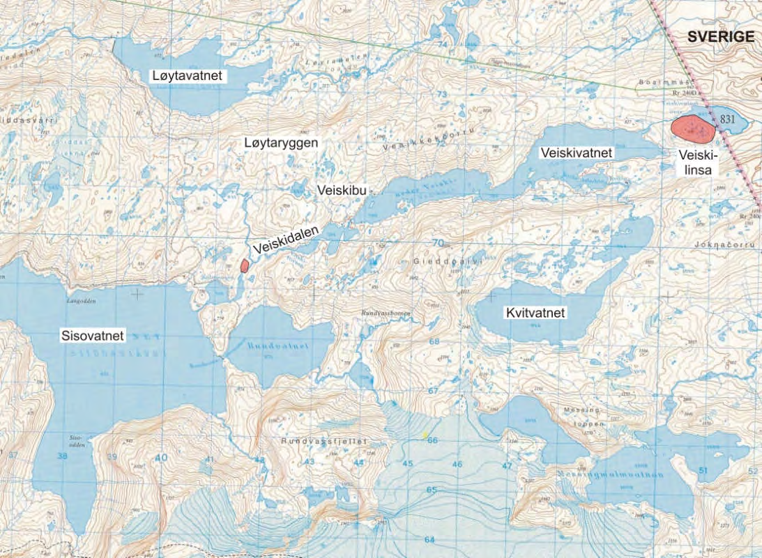 Resultat og vurdering: De ultramafiske linsene ligger innenfor sedimentære, vulkanske og intrusive bergarter som er sterkt foldet og metamorfosert i forskjellige facies.