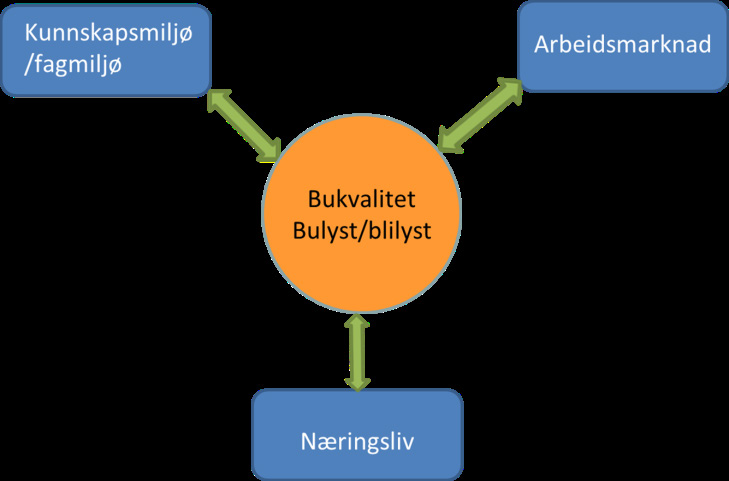 6 STRATEGIAR FOR Å LYKKAST MED UTFORDRINGANE 6.