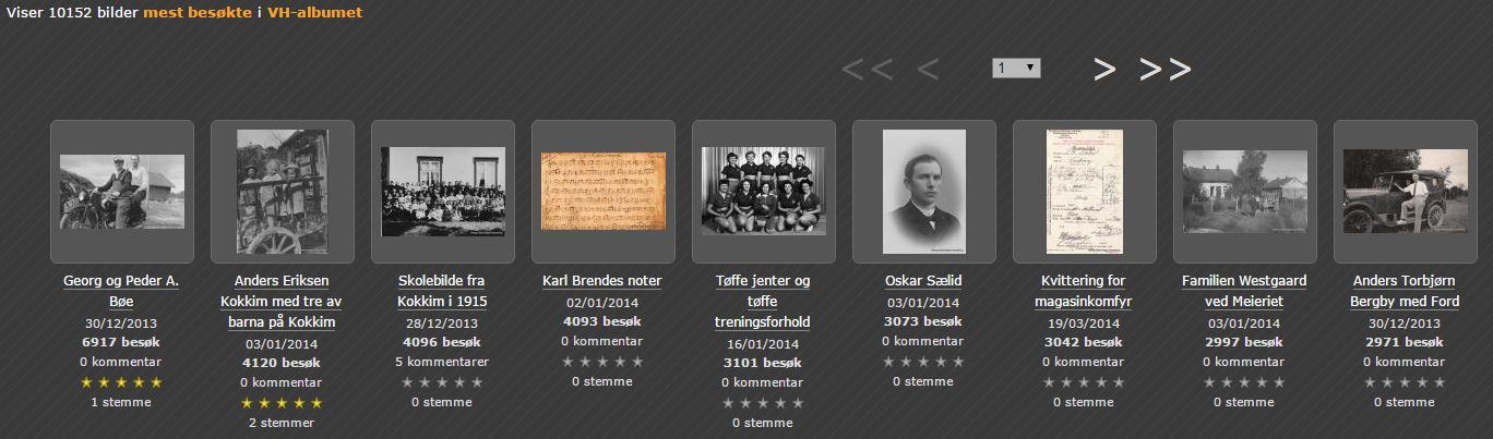 Rapport Web komitieen 2016 for Varteig Historielag. Varteig 15. Jan 2017.