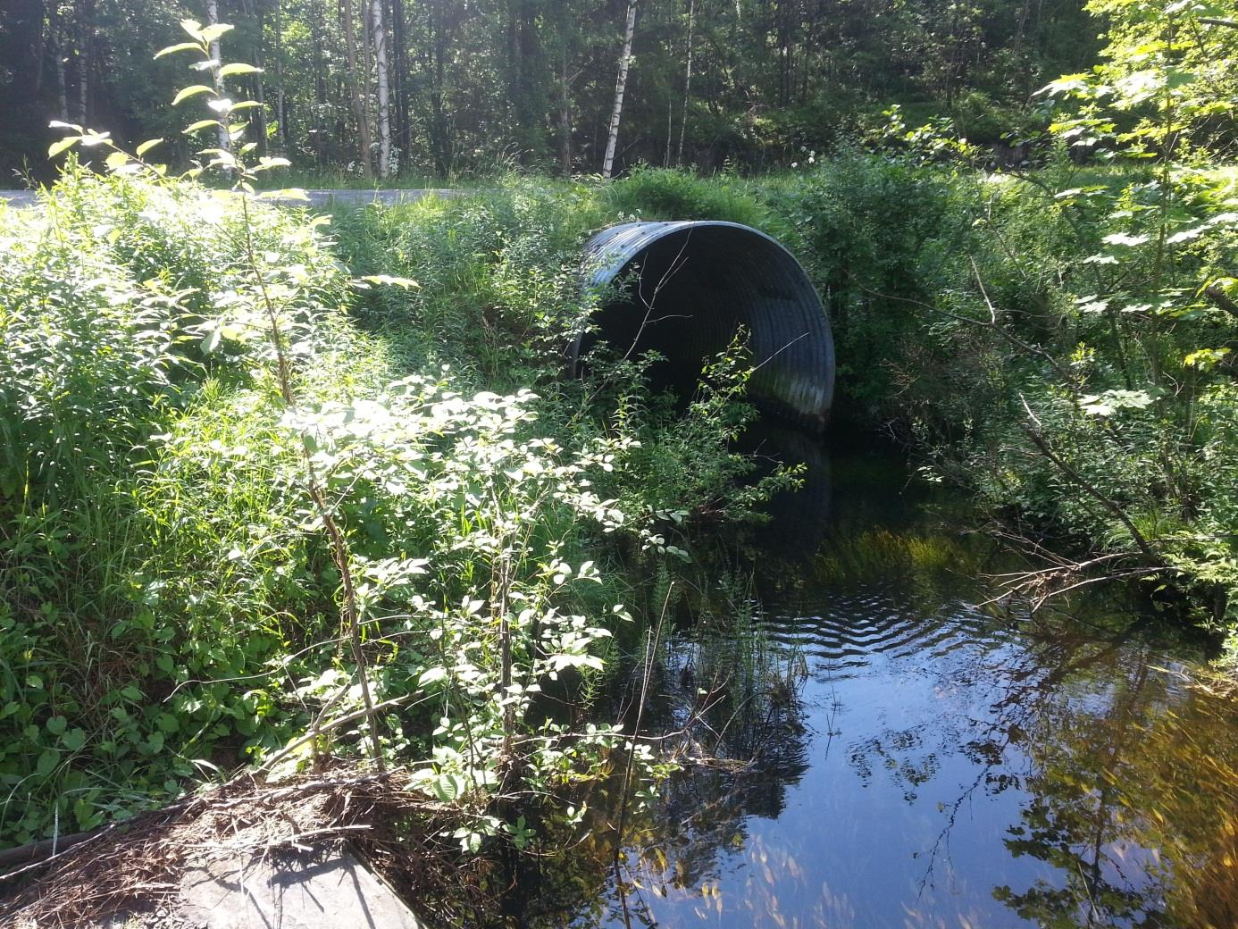 Kulvert#: K3b. Dim: 300 cm Navn: Steindalsbekken. Lengde: 15 m Reginenr: 020.311Z Materiale: metall Farbarhet: meget god Foto: 13 og 14 GPS: K3b inn/ut Annet: rundt metallrør under fylkesvei 229.