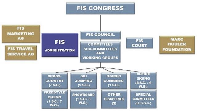 underkomite er Medical committee, som består av leger fra forskjellige nasjoner. Medical committee fungerer som rådgiver for FIS Council.
