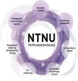 Utlysning av midler til innovativ utdanning 2015 Hva ønsker vi tilbakemelding på? 1.