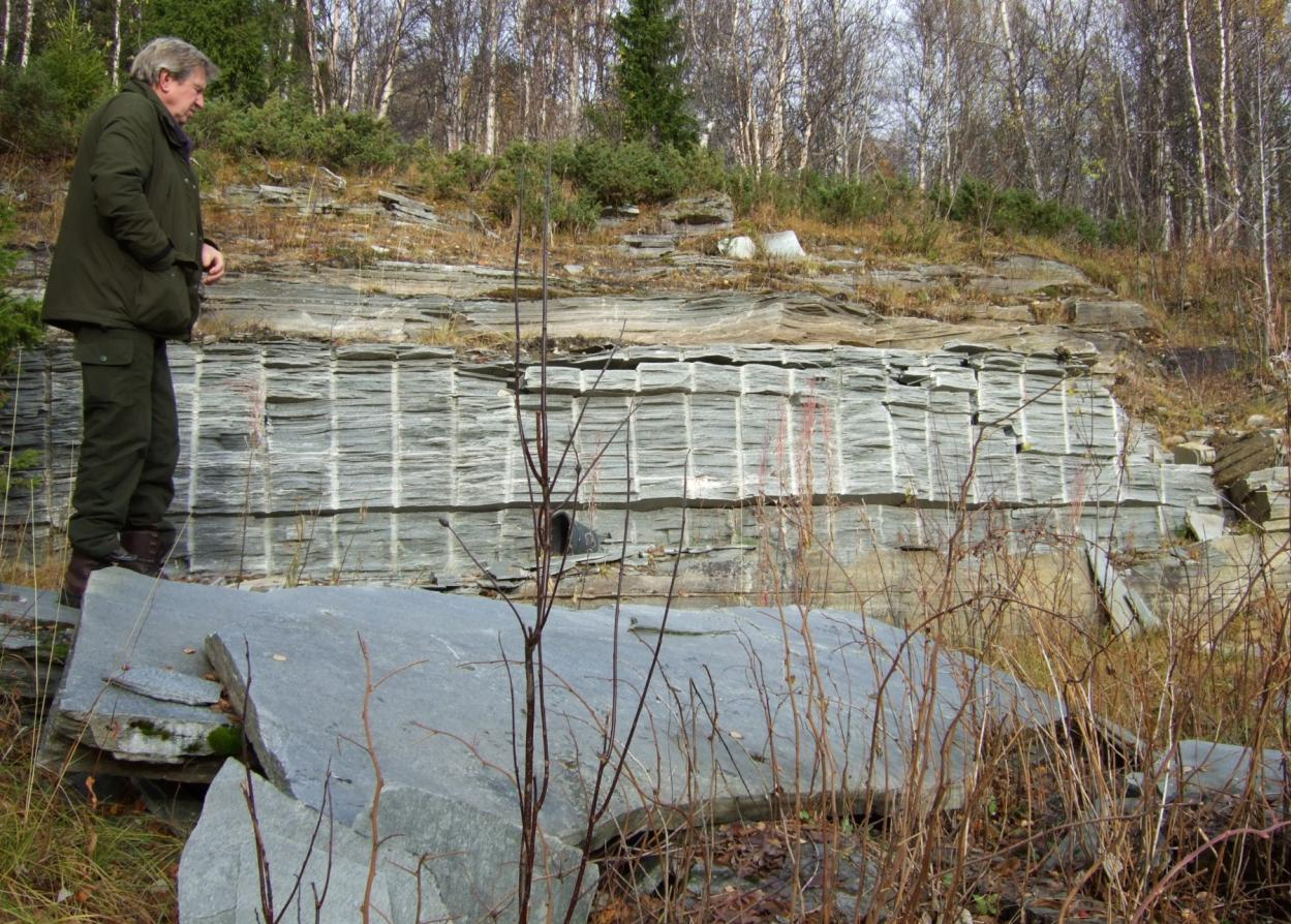 Figur 10: Geologien i området ved gården Solvang. Utsnitt fra kartet i vedlegg.