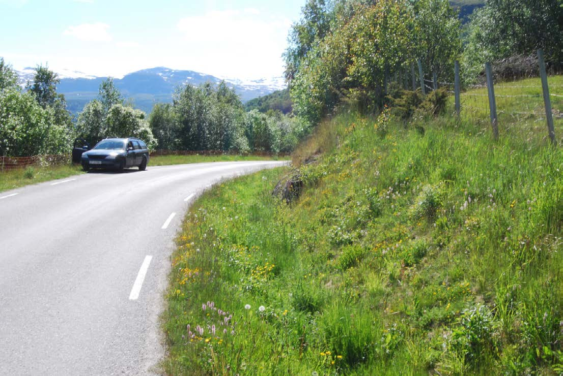 4.3 Oppland fylke 4.3.1 Vågå: Mo i Nordherad Fylkesveg 454 Løpenr. i artsobs.