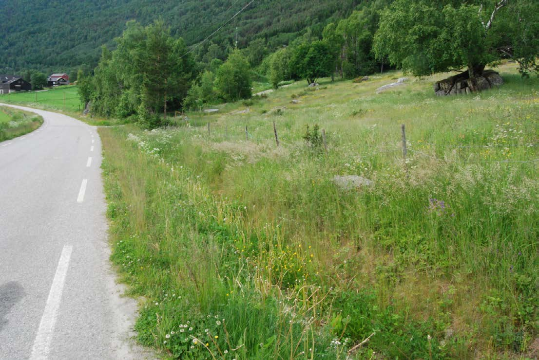 4.3.2 Nord-Fron: Hågåstugu v/steine Fylkesveg 420 Løpenr.