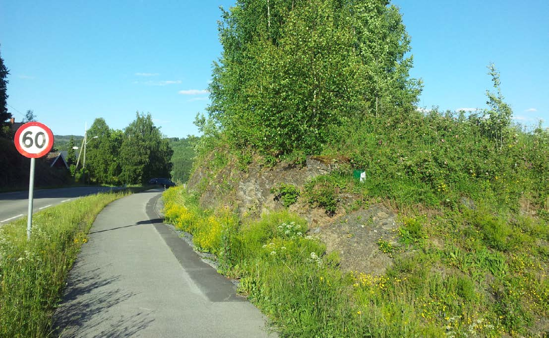 Tabell 24. Artsliste langs vegkanten ved Lunner: Lundby skole Ø Table 24. Species list along the road at Lunner: East of the school Lundby.