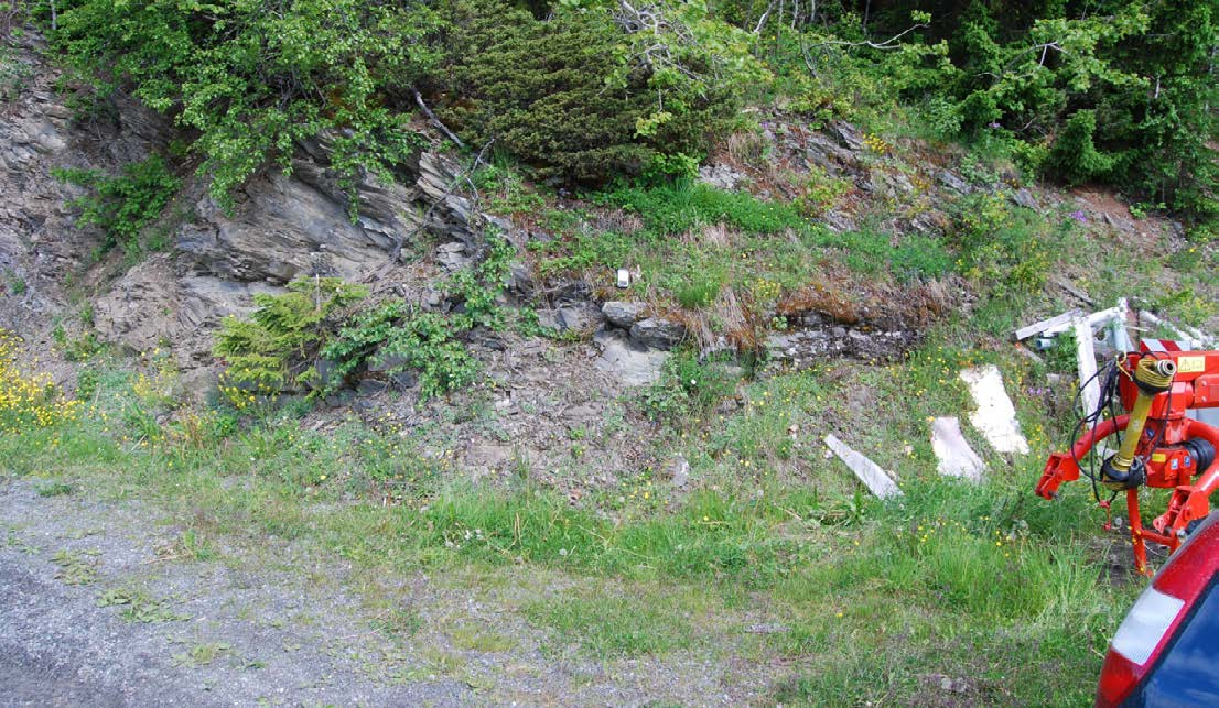 Tabell 40. Artsliste langs vegkanten ved Nord-Aurdal: Bergadn 1 Table 40. Species list along the road at Nord-Aurdal: Bergadn 1. Achillea millefolium ssp.