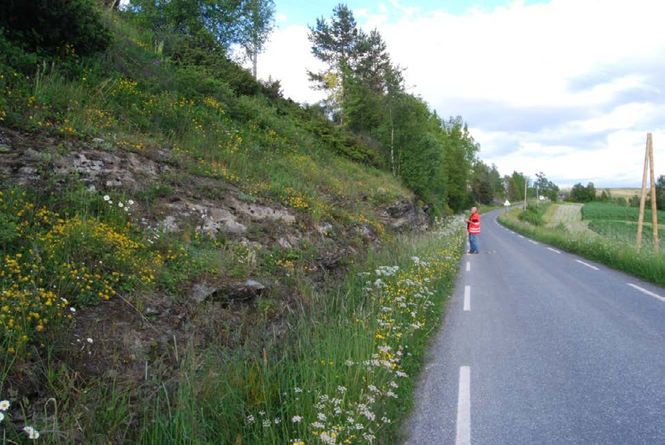 Tabell 53. Artsliste langs vegkanten ved Øystre Slidre: Kolstad Table 53. Species list along the road at Øystre Slidre: Kolstad. Achillea millefolium ssp.