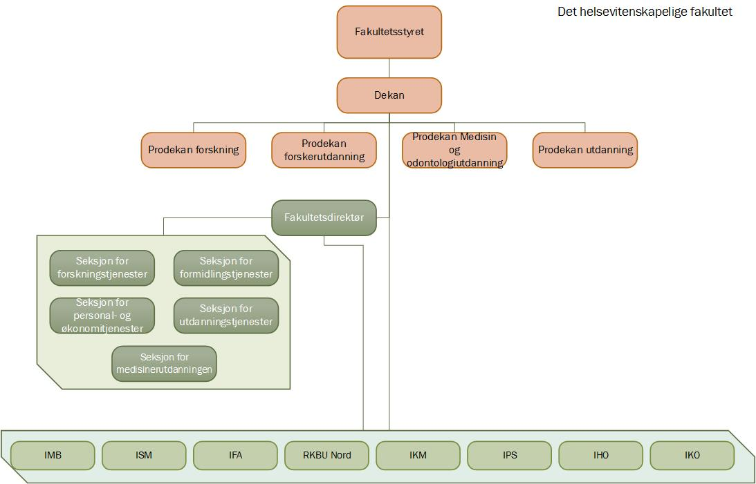 3.1.1 Illustrasjon av dagens situasjon For å illustrere bredden i de ulike organiseringene av fakultetene er det nedenfor satt opp en kort oversikt over hvordan det helsevitenskapelige fakultet, det