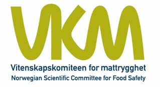 Protokoll fra møte i Faggruppen for tilsetningsstoffer, aroma, matemballasje og kosmetikk i VKM, torsdag 7. desember 2006 kl. 11.00-15.