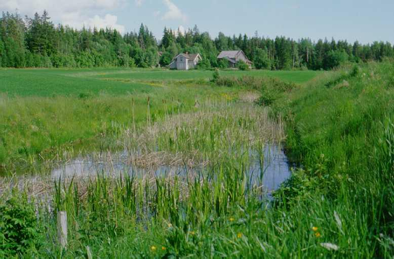 D) Økologiske rensetiltak Dette omfatter etablering av vegetasjonssone for å fange opp matjord og næringsstoffer i overflateavrenning fra dyrka mark, fortrinnsvis langs vassdrag.