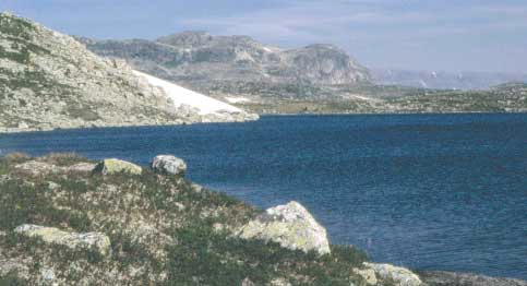 Figur 4. Svartavatnet. FOTO: ARNE FJELLHEIM 2.2 Dybdekart og hydrologisk informasjon Svartavasstjørni, Svartavatnet og Dragøyfjorden ble loddet opp i august 2000.