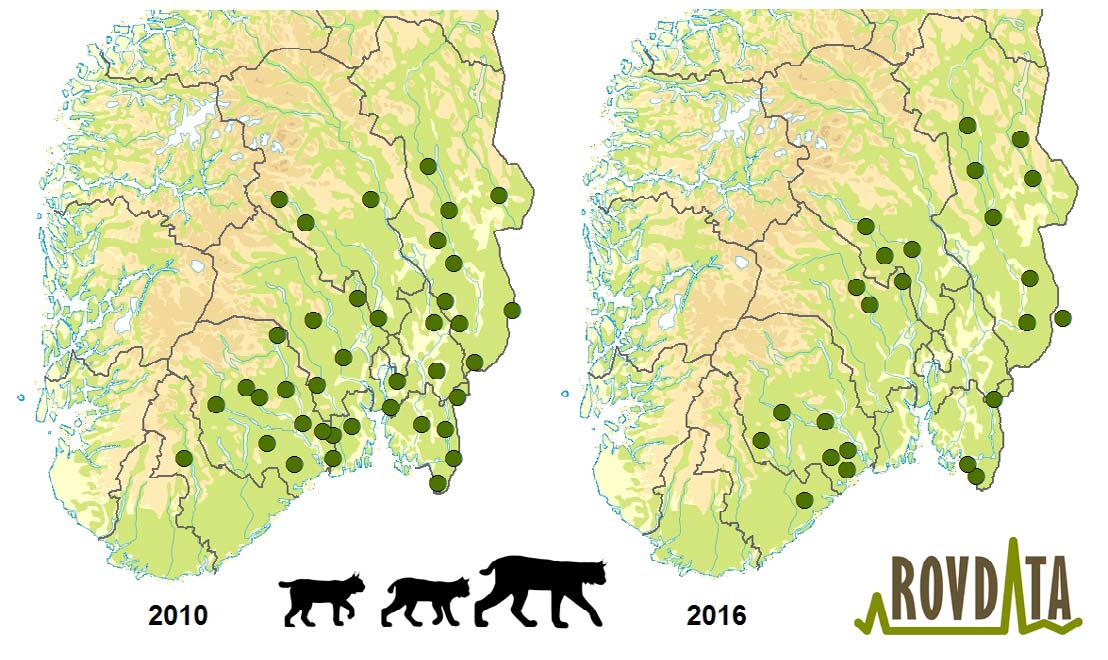 Regionalt ser vi at det både er rovviltregioner som ligger over og under de regionale bestandsmålene, og dette illustrerer kanskje noe av utfordringene fremover med hvordan man skal klare å holde seg