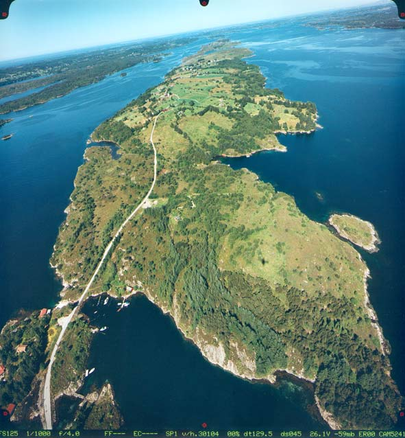 Einstape hvordan bekjempe den i kulturlandskapet Figur 5 (til høyre). Flyfoto av Utluro, Lygra. Fotonor A/S. (Right) Airal photo of Utluro, Lygra, Western Norway. 5 Figur 6 (under).