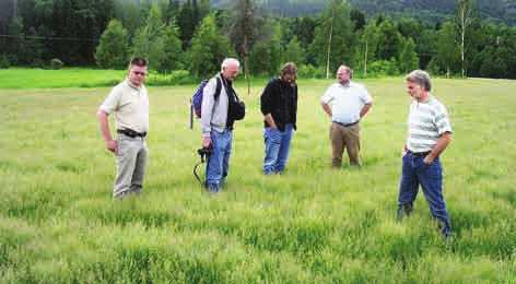 Trygve S. Aamlid et al. / Bioforsk FOKUS 3 (2) 121 Bilde 1. Styringsgruppa i prosjektet «Fjellfrø» på befaring i annet års frøeng av Lillian sauesvingel, Gvarv, 13.juni 2007.