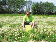 126 Trygve S. Aamlid et al. / Bioforsk FOKUS 3 (2) Bilde 2. Forsøk med vekstregulering og insektsprøyting i frøeng av «Snowy» kvitkløver, like ved Bø kirke. Foto tatt 26. juni 2006 av Trygve S.