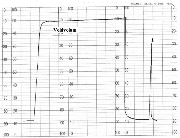 Resultater 4.2.1 Isolering av ChiB-WT Figur 4.3: Kromatogrammet for rensing av ChiB WT på kitinkolonne.