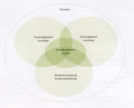 25 Figur 4: Modell for kunnskapsbasert praksis (Nortvedt et al., 2012) Nortvedt et al.