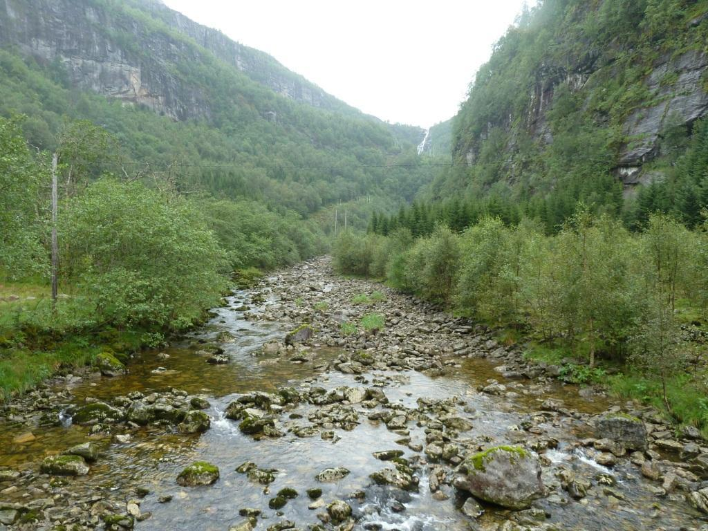 Figur 15. Nedre landskapsrom. Øverst: Flere inngrep i dalbunnen: kraftstasjon, veg, ledningsnett. Beitemark langs elva og planta gran.