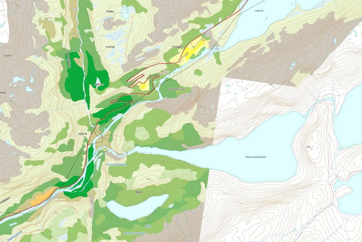 Boniteten er stort sett liten til middels (figur 18). Det finnes noen arealer langs Matreselva med skog av høy bonitet. Langs elva er disse arealene utnyttet til plantefelt av gran.