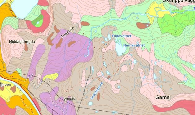 Figur 7. Bergrunnen i influensområdet til Tverråmo kraftverk består i hovedsak av leirskifer, sandstein, kalkstein (grønn), men også noe charnockitt til anortositt (rosa).