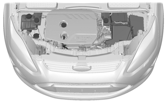 Vedlikehold OVERSIKT UNDER PANSERET - 1,6 LITERS DURATORQ-TDCI (DV) DIESEL A B C D E F I H G E130031 A B C D E F G Kjølevæskebeholder * : Se Tåkelys foran (side 203).