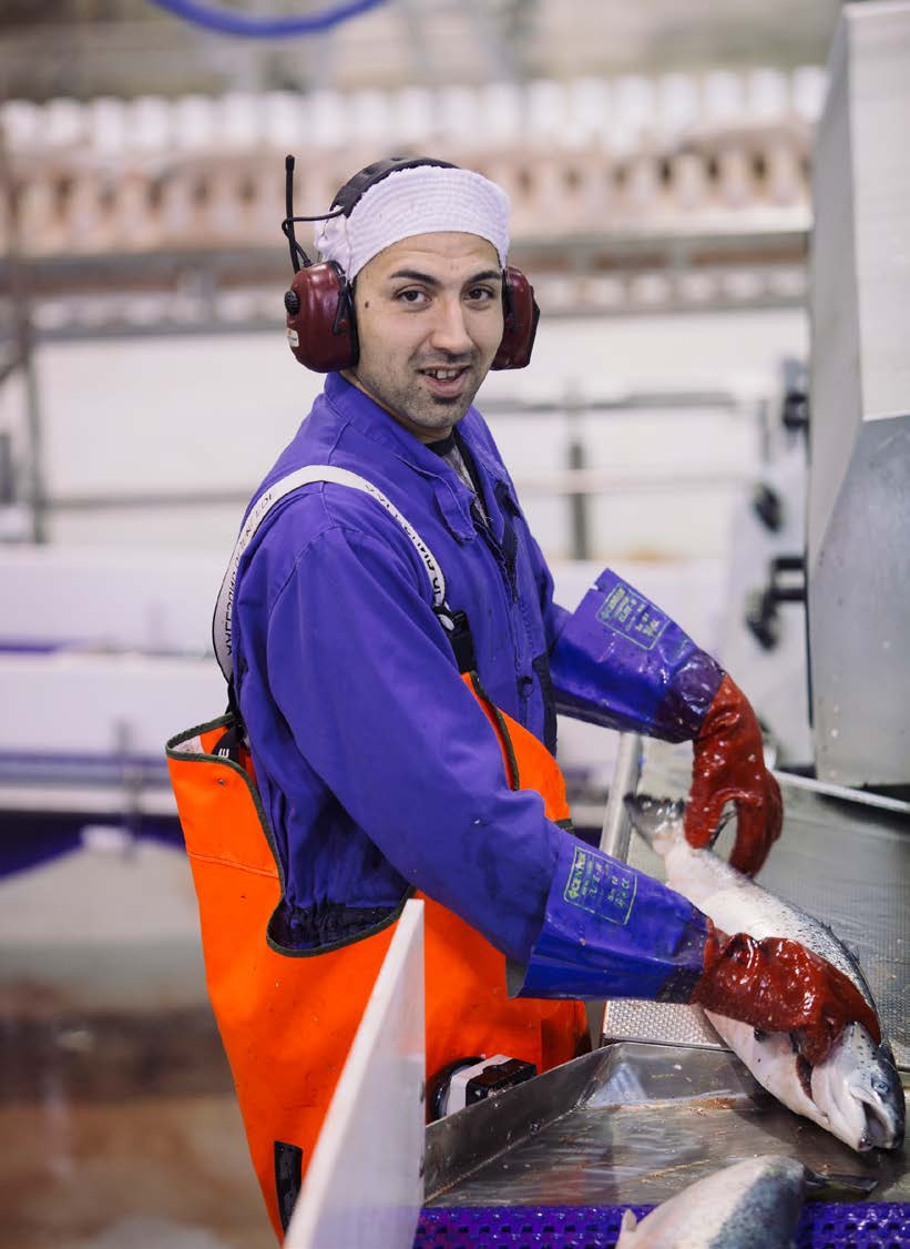 Energiledelse og innovasjon i praksis Vekst og utvikling gir muligheter Nordlaks har alltid vokst.