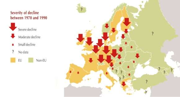 Farmland bird declines between 1970