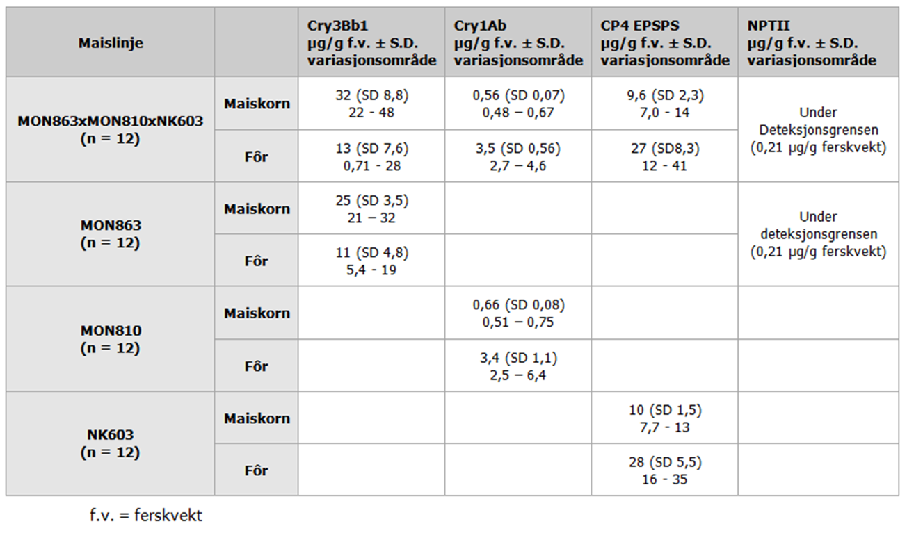 Tabell 3. Proteininnhold i µg/g tørrvekt for de innsatte genene i korn og fôr av hybridmaisen MON 863 x MON 810 x NK 603, og de tilsvarende foreldrelinjene.