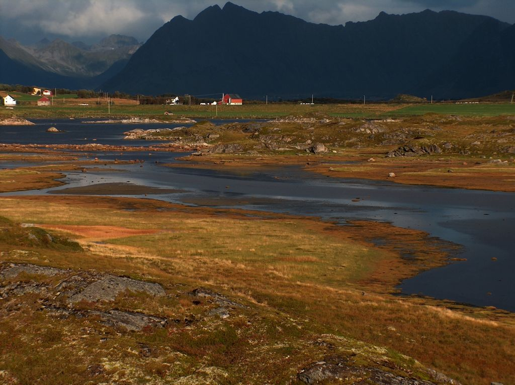 Konsekvensutredning for vegetasjon, flora og naturtyper Geir