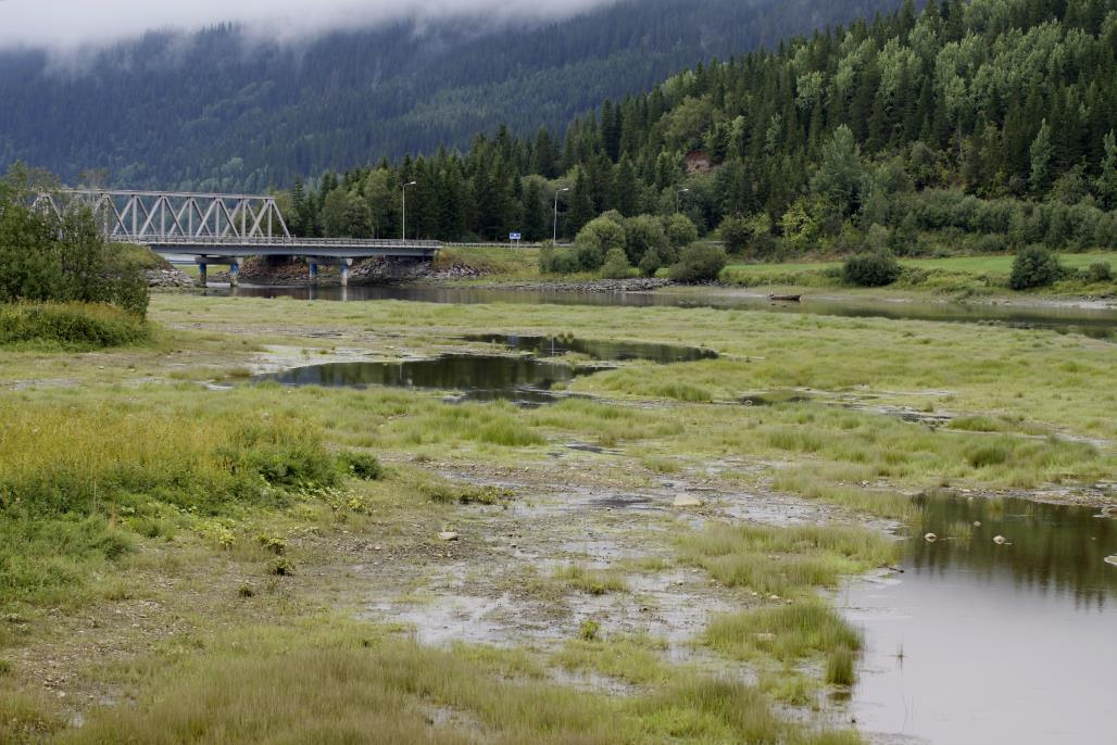 4. Registreringer og vurdering av verdi 4.1 Områdebeskrivelse Hele undersøkelsesområdet ligger i mellomboreal vegetasjonssone i svakt oseanisk seksjon (O1) (Moen, 1998).