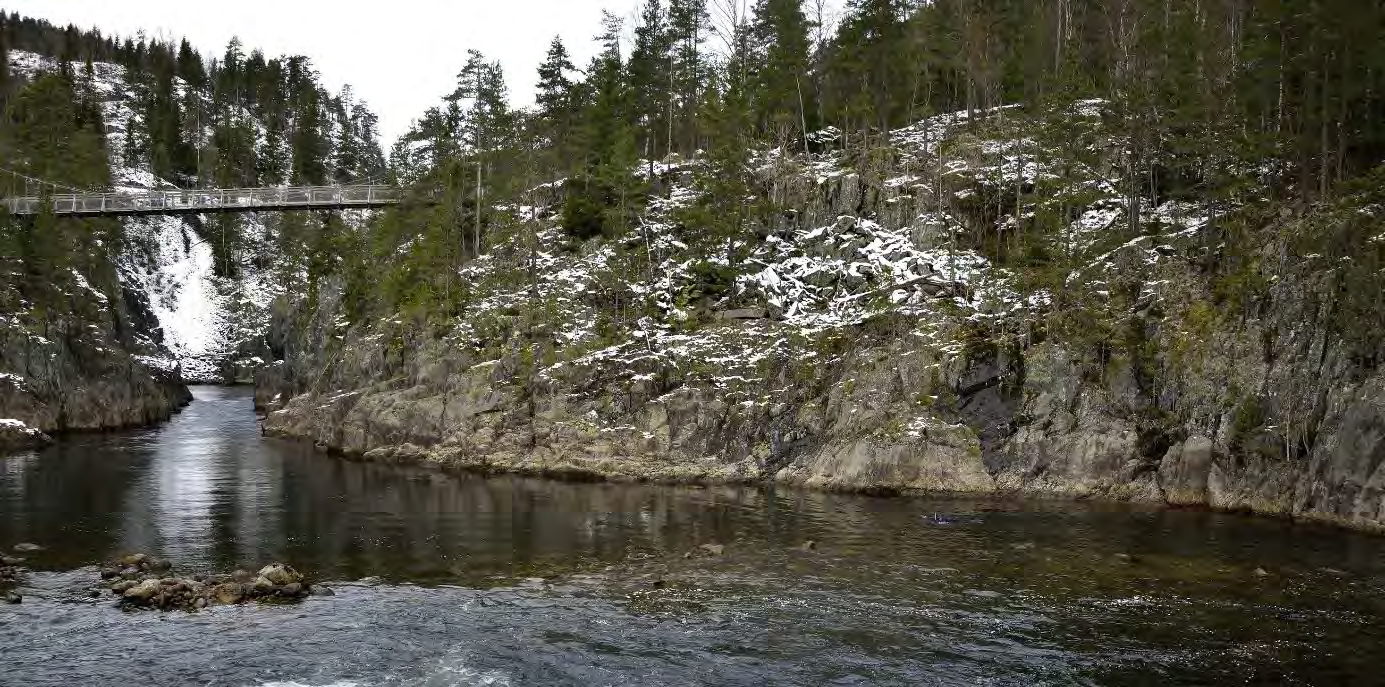 HSN Skrift XX 2017: Høgskolen i Sørøst Norge, Institutt for natur- helse- og miljø Gytegropregistreringer i