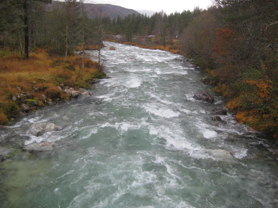 FLAUMFAREVURDERING FOR REGULERINGSPLAN KÅRDAL HYTTEGREND, MJØLFJELL, VOSS KOMMUNE 8 5 Vurdering av området Planområdet er synfart, og det er sett på elveløpet, terrengtopografi, vassføring og grunn-