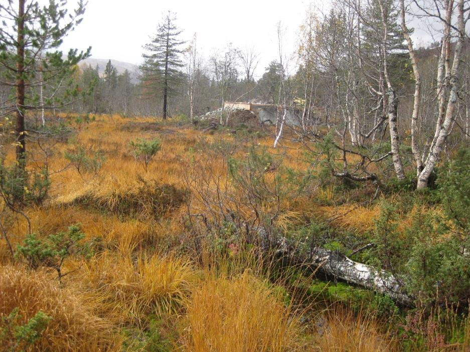 FLAUMFAREVURDERING FOR REGULERINGSPLAN KÅRDAL HYTTEGREND, MJØLFJELL, VOSS KOMMUNE 10 Figur 9 Bilete teke frå brua over til fylkesvegen.