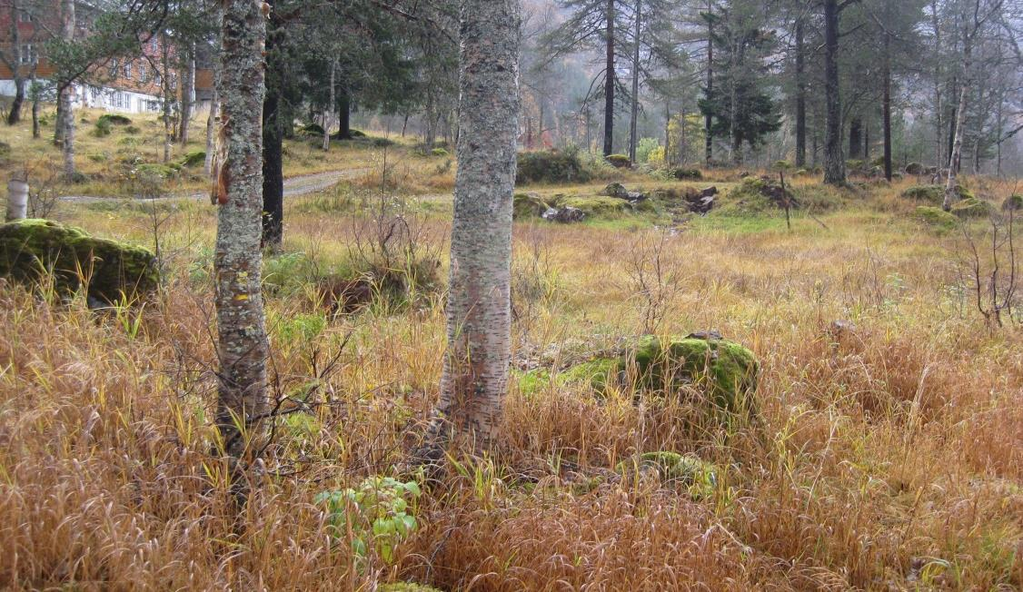 FLAUMFAREVURDERING FOR REGULERINGSPLAN KÅRDAL HYTTEGREND, MJØLFJELL, VOSS KOMMUNE 16 Elveløpet er smalt, men utvidar seg like nedstraums.