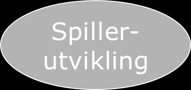 Hovedoppgaver Arrangement Dommerutvikling Anlegg