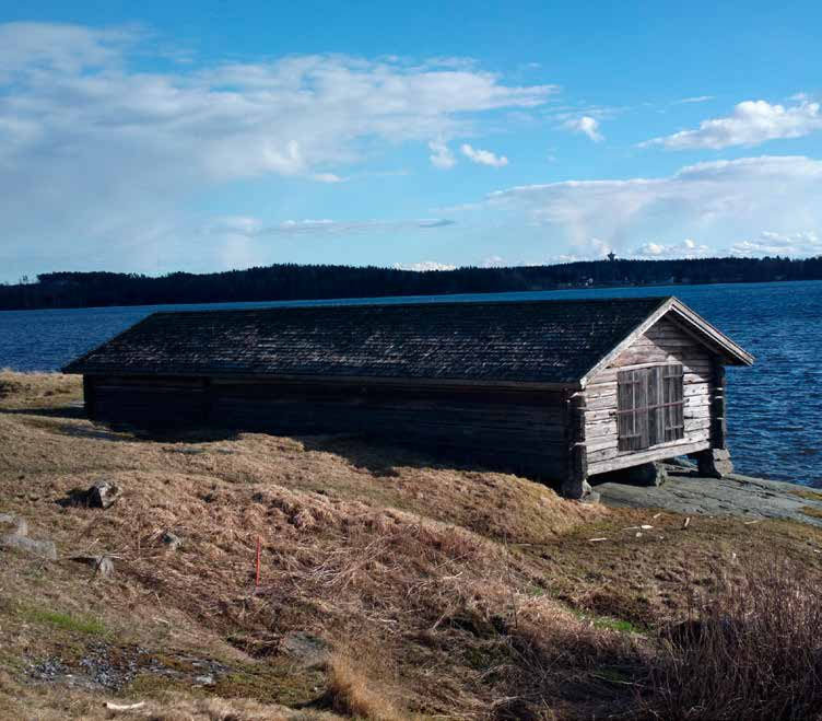 Det har vore ein liten auke i talet på disposisjonar når det gjeld Plan- og bygningslova og byggeforbod i strandsona. og unge (16) eller planfaglege manglar (23) var andre viktige grunnar.