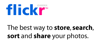 Casestudier 5.4 flickr Flickr er kanskje det beste eksemplet på en applikasjon som er utviklet av en bedrift mens den fortsatt i er oppstartsfasen.