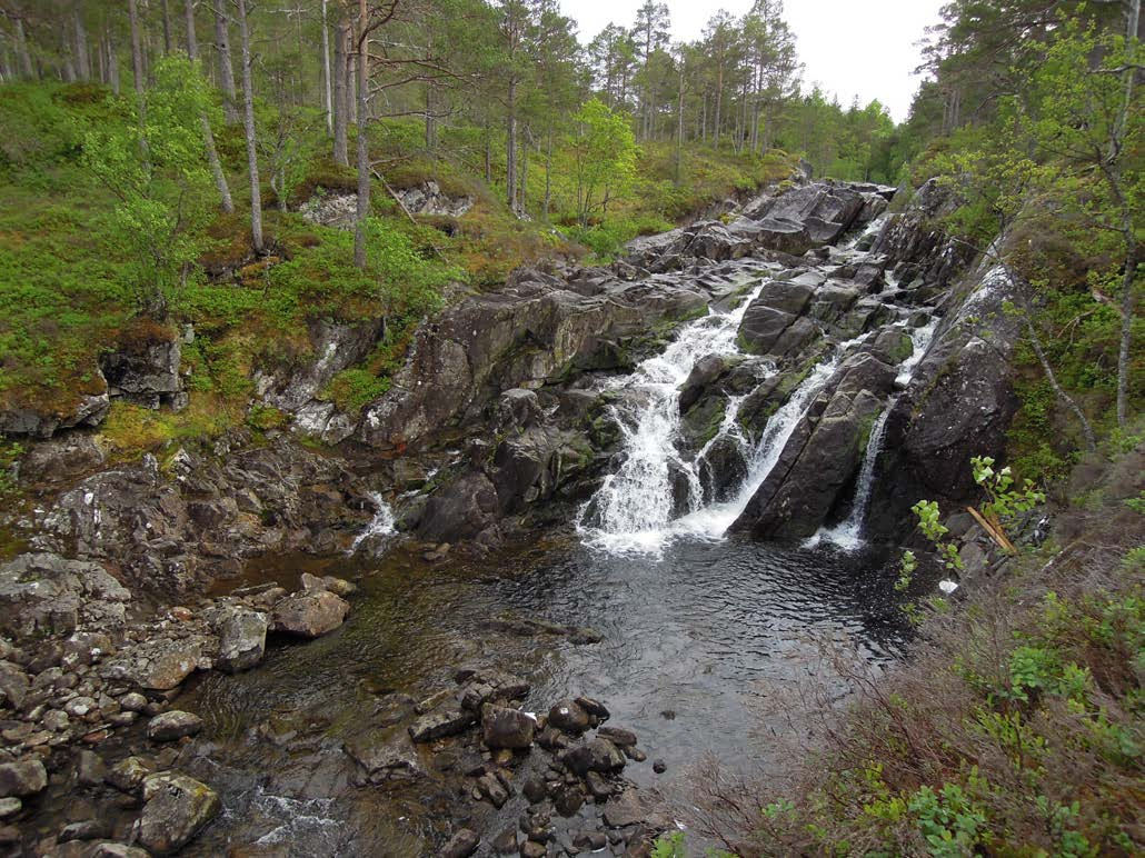 Ecofact rapport 517 Fv 714 Saghølen-Stormyra, Snillfjord kommune reguleringsplan for deponier og