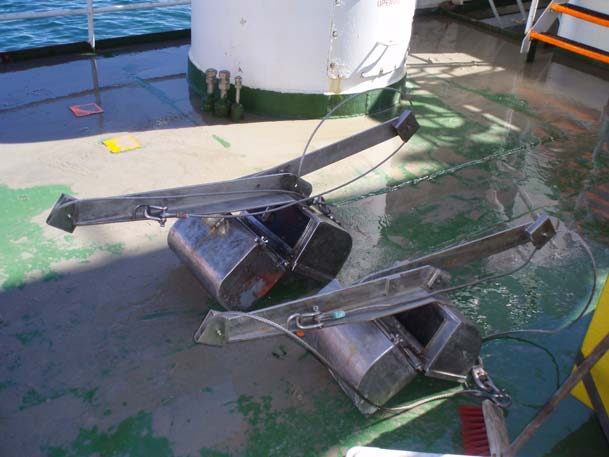 The height of the sediment in the biological samples was measured and the sediment then gently washed through a sieve (with 1 mm round holes) immersed in seawater.