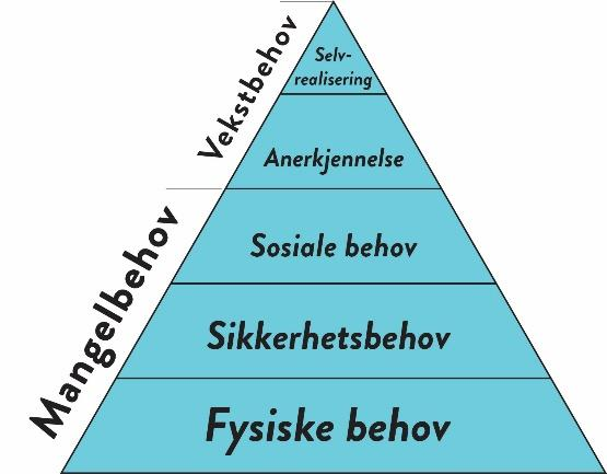 Behovsteorier Doktor Ingeniør Jonny Nersveen ved NTNU Gjøvik mener i sin forskning at man kan trekke linjer mellom Abraham Maslows behovsteori og situasjonen mange synshemmede befinner seg i når de