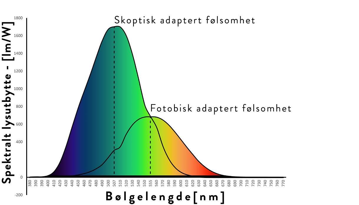 Øyet har forskjellig sensitivitet i forhold til forskjellige bølgelengder. Figur 2.19 viser en V λ - kurve for fotobisk syn, og en V λ-kurve for skoptisk syn.