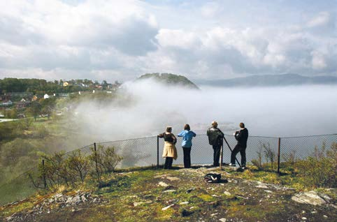 Drifts og tilsynsansvaret innebærer blant annet å tenke sikkerhet i områdene. Ved Korsvika i Trondheim er det satt opp sikkerhetsgjerde på en eksponert berghammer. Foto: Sissel Rübberdt.