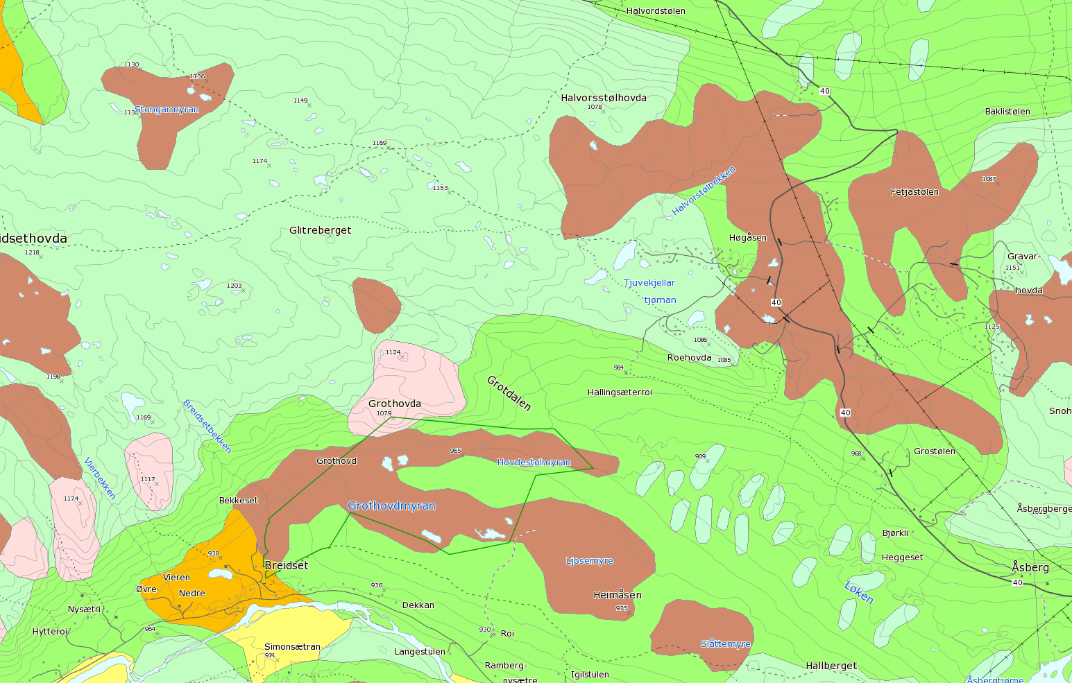 Kartutsnitt NGU løsmassedatabase: Lyse grønt