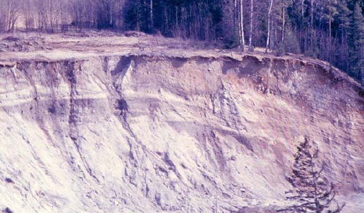 NATUR I ØSTFOLD 26(1-2) 2007 Utviklingen av landformene og løsmassene i og omkring Kalnesgropa Fig. 30. Hasselligropene i 1965 med Eidet kafé i forgrunn.