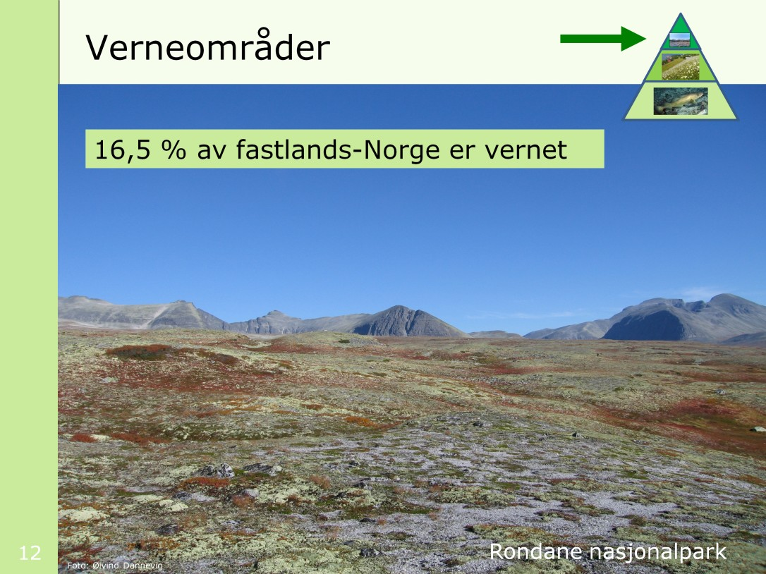 Ca 16,5 % av fastlands-norge er vernet per 1. mars 2011.