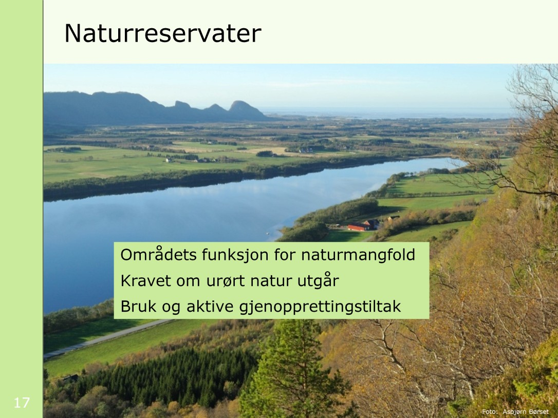 Områdets funksjon for naturmangfold: Vilkårene er først og fremst knyttet til områdets funksjon for naturmangfoldet.