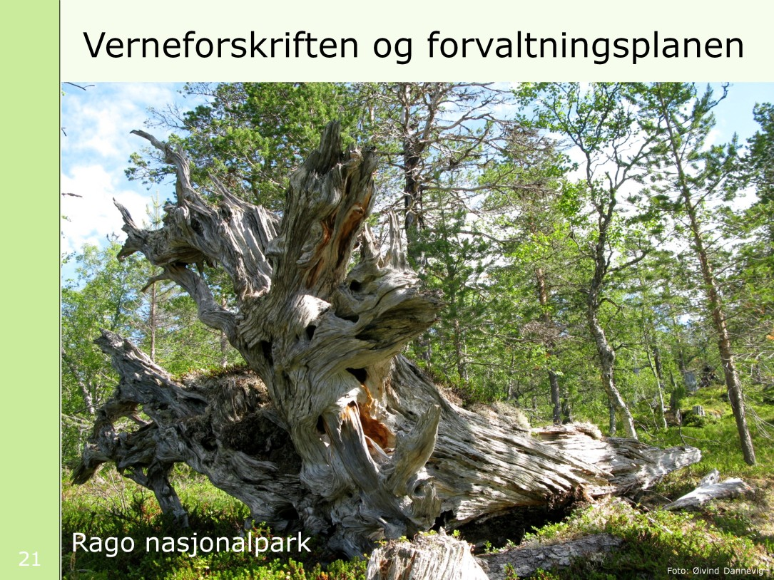 Verneforskriften er sammen med naturmangfoldloven, sentral i forvaltningen av verneområder. Det viktigste dokumentet styret skal utarbeide, eller revidere, er forvaltningsplanen.