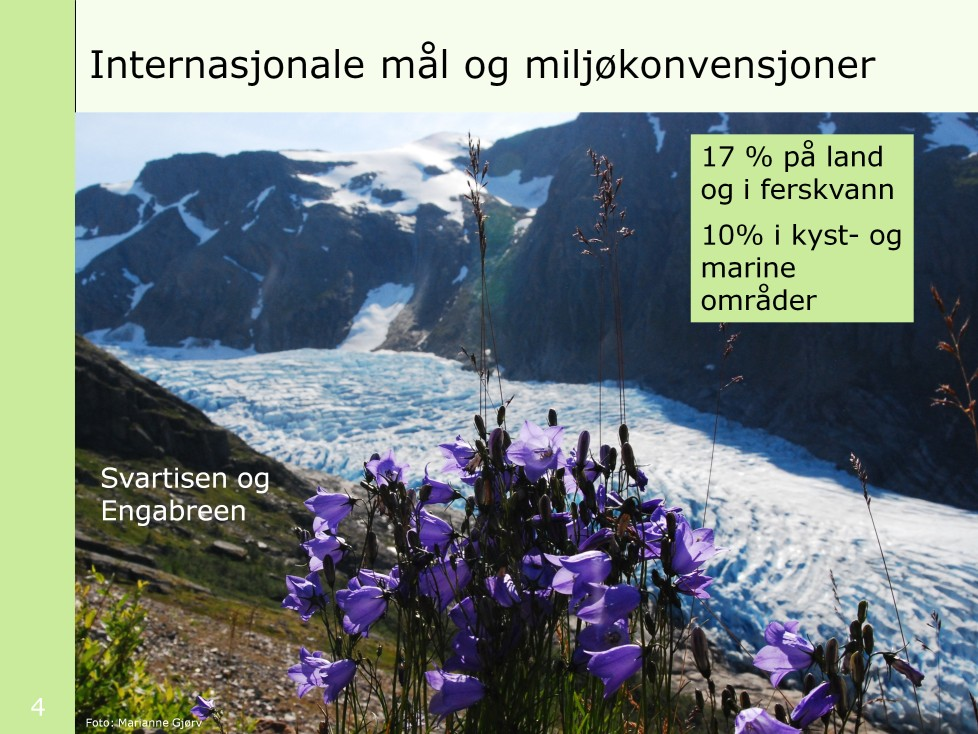 Internasjonale mål og miljøkonvensjoner Innen 2020 er minst -17 prosent av land og ferskvann, og -10 prosent av kyst- og marine områder vernet.