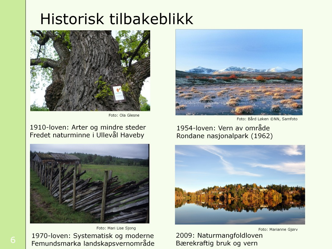 To hovedretninger i forvaltningen av natur: - Bærekraftig bruk av natur. Bruk og høsting. - Naturens opplevelses- og egenverdi. 1910-loven: En vernelov! Av enkeltobjekter og mindre områder.